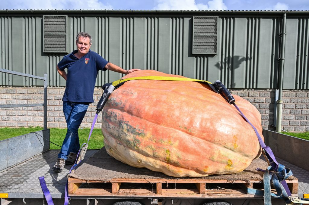 British Twin Brothers Cultivate Monster Pumpkin, Set New UK Record‌